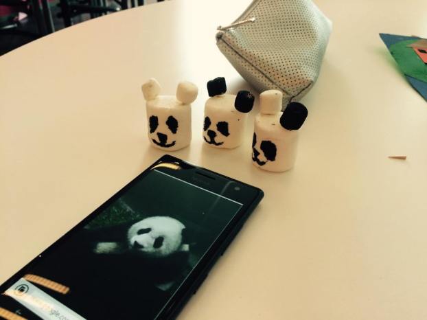 11291316_10153320799043349_904476728_n